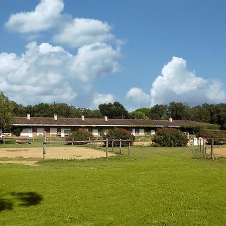 Residential Horse Club Costa Brava Hostel Santa Cristina d'Aro Cameră foto