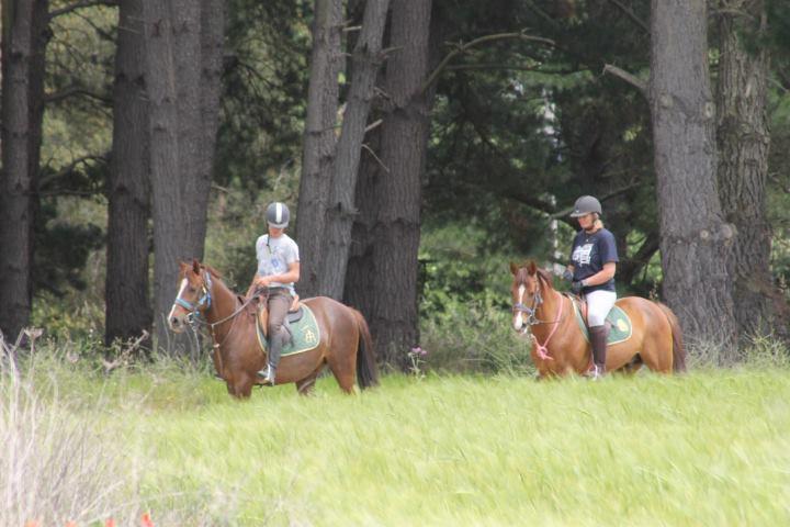 Residential Horse Club Costa Brava Hostel Santa Cristina d'Aro Exterior foto