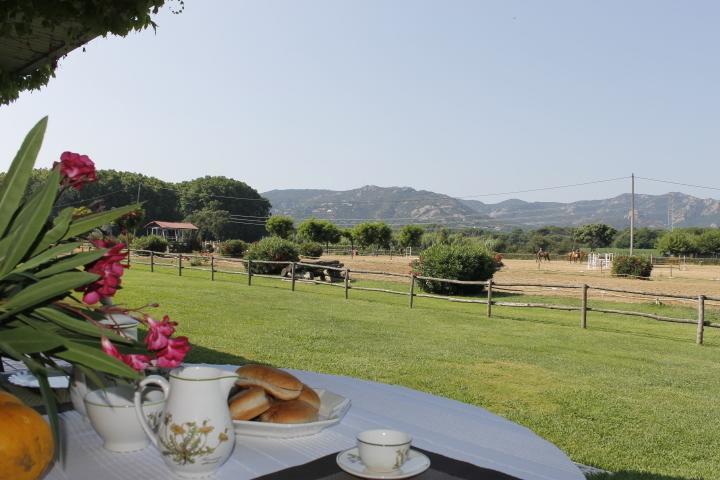 Residential Horse Club Costa Brava Hostel Santa Cristina d'Aro Cameră foto